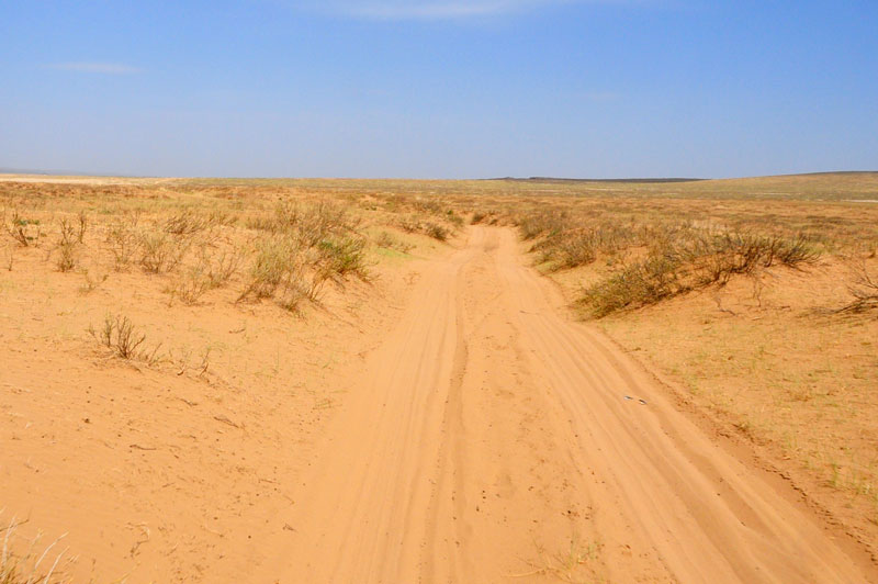 Mongolie